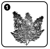 1a